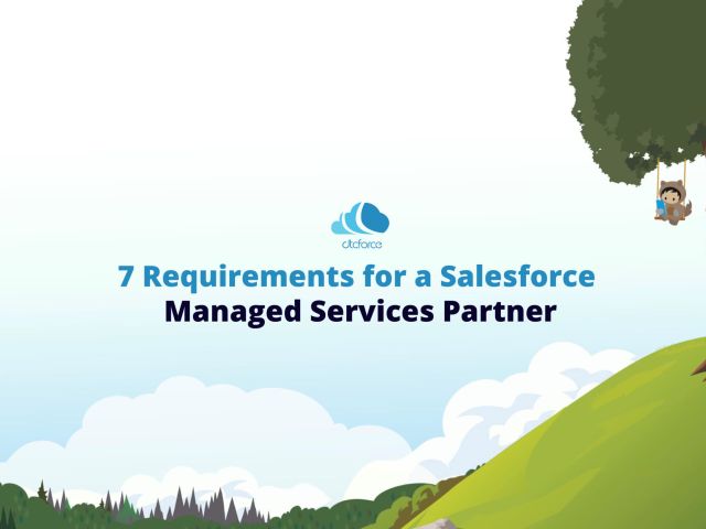 7 Requirements for a Salesforce Managed Services Partner-01